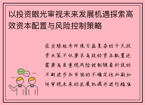 以投资眼光审视未来发展机遇探索高效资本配置与风险控制策略