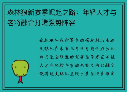 森林狼新赛季崛起之路：年轻天才与老将融合打造强势阵容