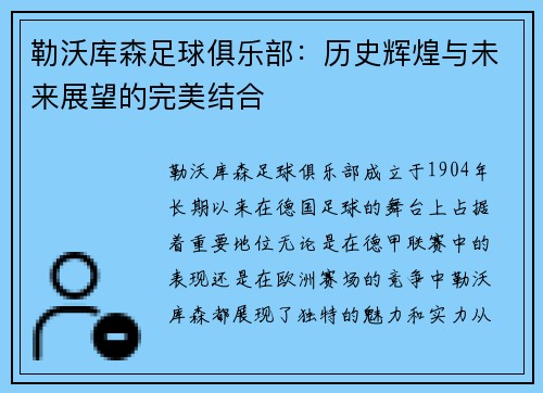 勒沃库森足球俱乐部：历史辉煌与未来展望的完美结合